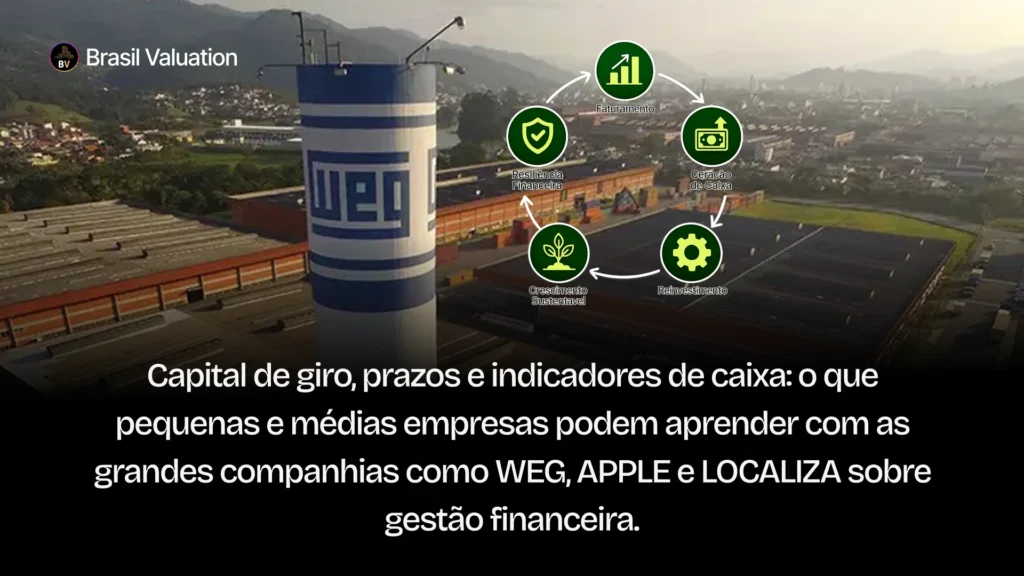 Por que geração de caixa, e não faturamento, é o que sustenta crescimento e valuation em tempos de juros altos. Veja exemplos como WEG e Localiza.